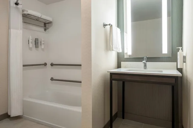 غرفة بسرير كينج بحوض استحمام لذوي الإعاقة، Hilton Garden Inn Montgomery East 4/4