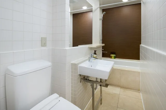 غرفة قياسية مزدوجة، Hotel Mystays Nishi-Shinjuku 3/3