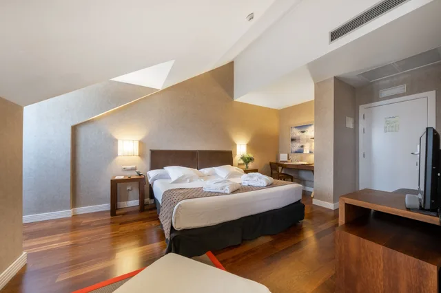 Standard, Double or Twin Bed, Castilla Termal Balneario de Olmedo 4/4