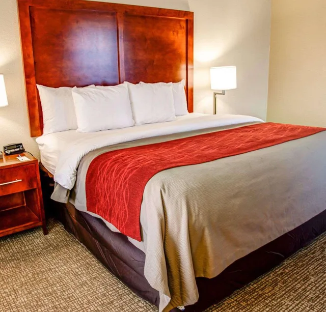 جناح بزنس بسرير كينج، Comfort Inn Bessemer Birmingham South 1/3