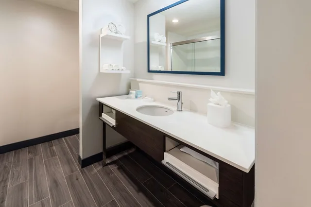 غرفة بسرير كينج مع أريكة لذوي الإعاقة، Hampton Inn & Suites Snellville Atlanta Ne 2/2