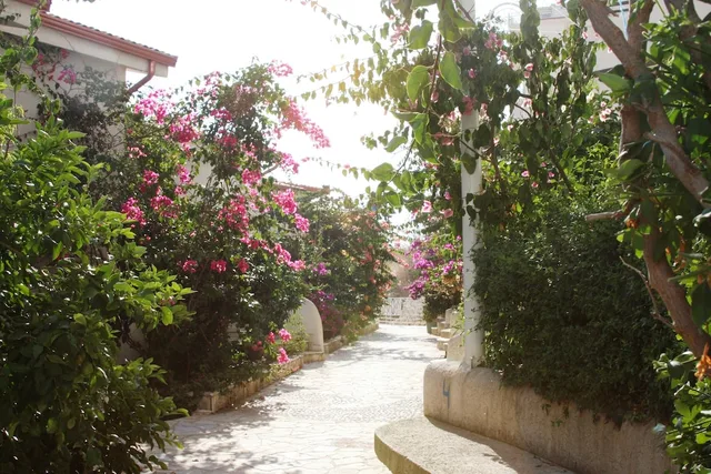 Bougainville Bay Hotel، ساراندا 76/78