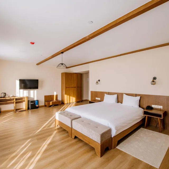 جناح جونيور في الملحق، Gudauri Inn 1/10