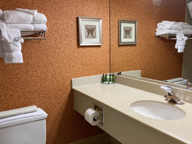 غرفة قياسية بسرير كينج، Clarion Hotel & Suites - Convention Center Fredericksburg 6/7