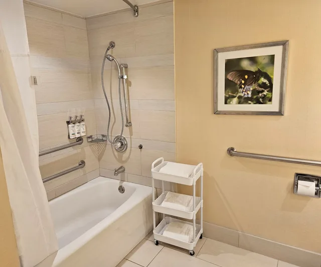 غرفة بسرير مزدوج بإطلالة لذوي الإعاقة، Holiday Inn Austin Town Lake Hotel 2/2