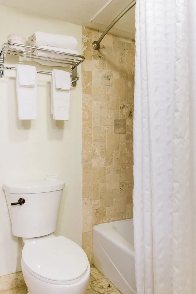 غرفة كلاسيكية بسريرين كوين، Hotel Alsace 4/4