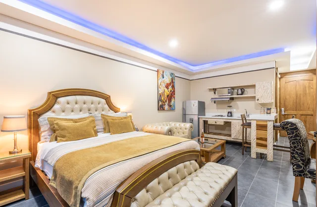 جناح تنفيذي بسرير مزدوج، Hotel Du Parc 7/10