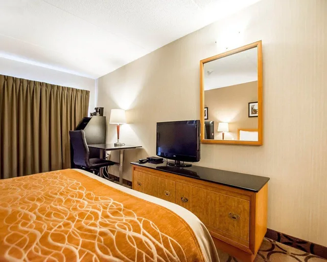 Executive, Queen Bed, Sofa, High Floor, Comfort Inn Kirkland Lake 2/2