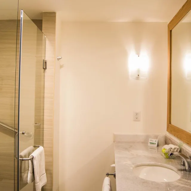 Premium, Queen Bed, Jumeirah Avenue View، Holiday Inn & Suites Guadalajara Centro Historico 8/8