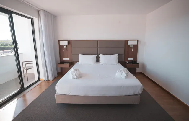 Junior Suite, Studio, Double Bed, Sofa، Hotel Freixo Douro Superior 1/4