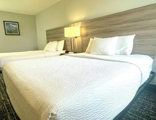 غرفة بسريرين كوين لذوي الإعاقة، Baymont By Wyndham Indianapolis South 4/10