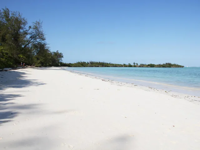 بنغل عائلي، Pemba Lodge 1/1