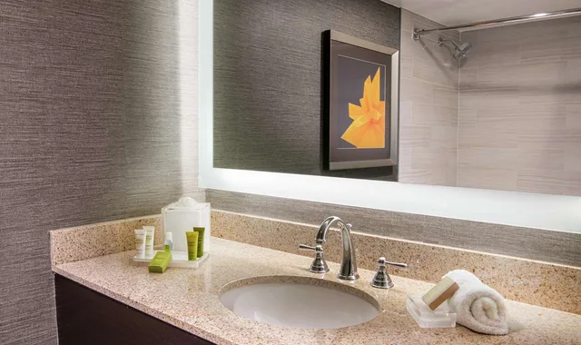 غرفة ركنية بسريرين مزدوجين، Hilton Parsippany 1/1