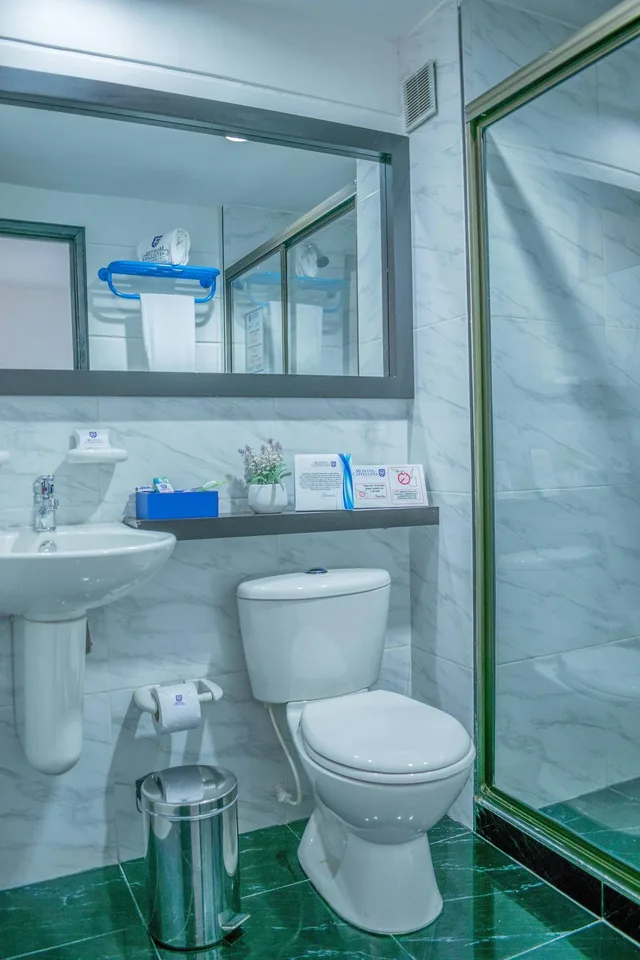 غرفة سوبيريور بسرير مزدوج، Montes de la Castellana Hotel Boutique 7/7