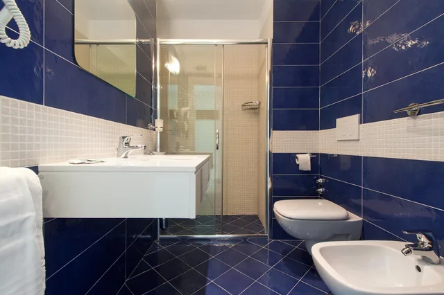 غرفة سوبيريور بسرير مزدوج، Hotel Metropole 5/8