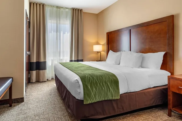 جناح بسرير كينج لذوي الإعاقة، Comfort Inn And Suites Edgewood 1/3
