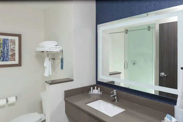 جناح بسرير كينج مع أريكة لذوي الإعاقة، Fairfield Inn and Suites Charlotte Pineville 1/1