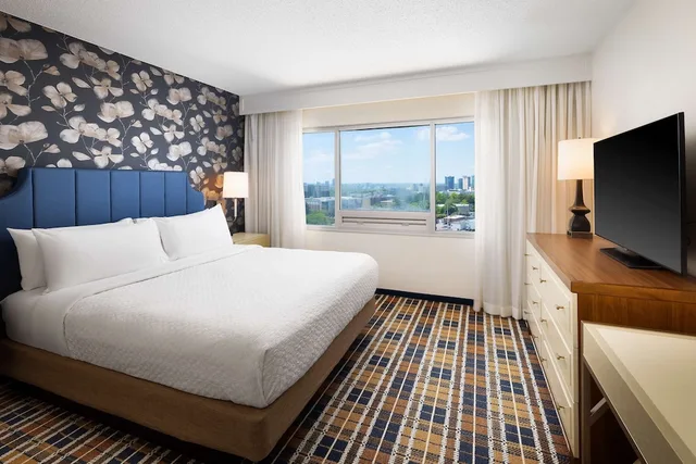 Suite, King Bed, Allergy Friendly, Embassy Suites Atlanta Buckhead 1/3