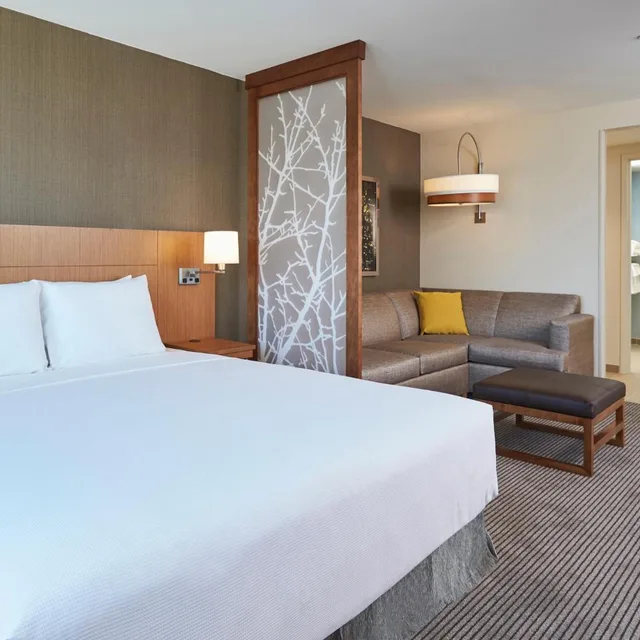 جناح بسرير كينج مع أريكة لذوي الإعاقة، Hyatt Place Toronto Mississauga Centre 1/3