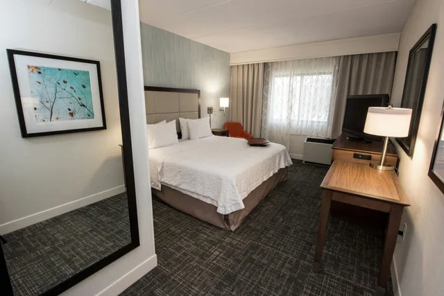 غرفة بسرير كينج مع أريكة لذوي الإعاقة، Hampton Inn Albany-Western Ave/University Area 2/4