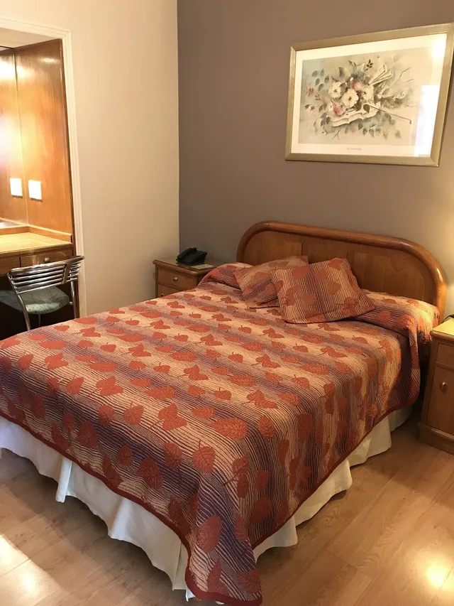 غرفة قياسية مفردة بسرير مزدوج، Crillon Mendoza 2/10