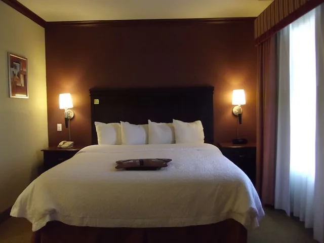 استوديو بسرير كينج لذوي الإعاقة، Hampton Inn & Suites Gainesville, TX 1/1