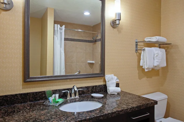 1 Bedroom, Suite, King Bed, Holiday Inn San Mateo 2/3