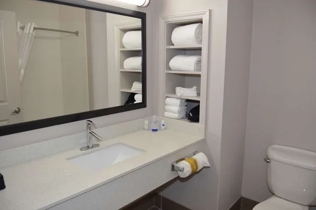 غرفة بسرير كينج، Garner Hotel Longview South by IHG 3/3
