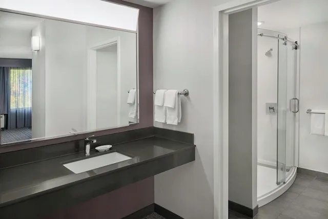 1 Bedroom, Suite, King Bed, Sofa, Corner, Courtyard by Marriott Kansas City Shawnee 4/5