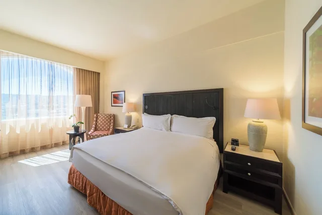 غرفة كلاسيكية بسرير كينج، InterContinental San Salvador-Metrocentro Mall 1/8