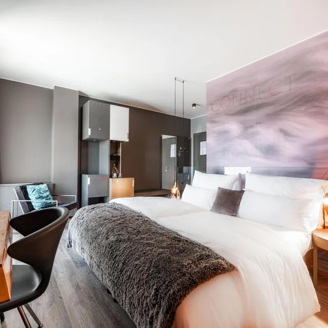 Premium, Double Bed, HOTEL CITY MARIBOR 3/10