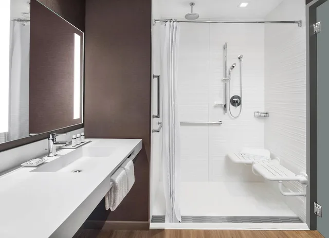 غرفة بسرير كينج مع أريكة لذوي الإعاقة، AC Hotel Pittsburgh Downtown 4/4