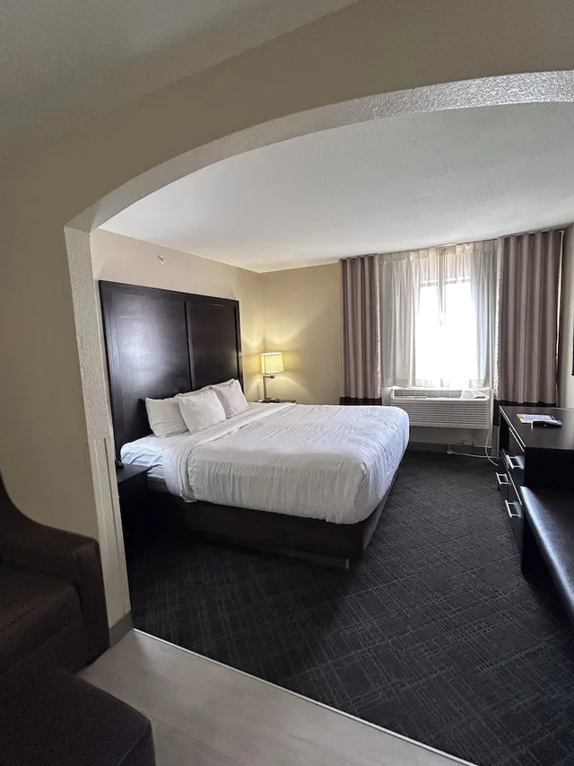 جناح بسرير كينج مع أريكة لذوي الإعاقة، Comfort Suites Highlands Ranch Denver Tech Center Area 3/7
