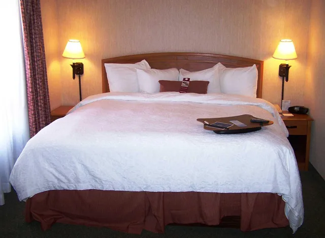 غرفة قياسية، Hampton Inn By Hilton Saltillo 1/5