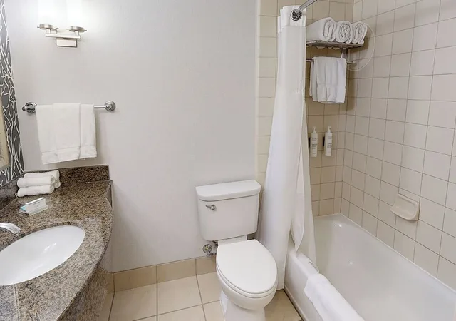 جناح ديلوكس بسرير كينج، Hilton Garden Inn Detroit Novi 2/2