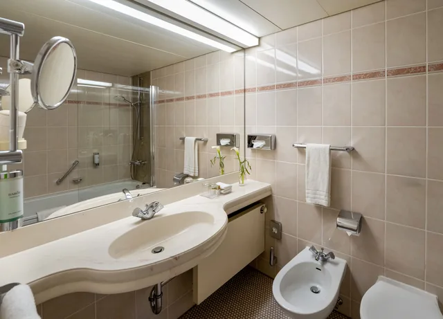 غرفة سوبيريور مفردة بسرير مزدوج، MARITIM HOTEL MAGDEBURG 3/3
