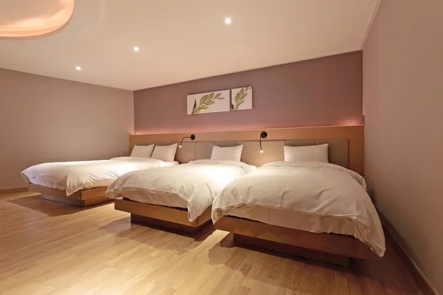 جناح تنفيذي بسرير مزدوج وسريرين منفصلين، Benikea Swiss Rosen Hotel 1/5