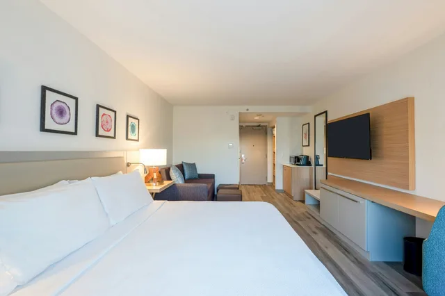 غرفة بسرير كينج مع أريكة، Hilton Garden Inn Ft. Lauderdale Airport-Cruise Port 4/8