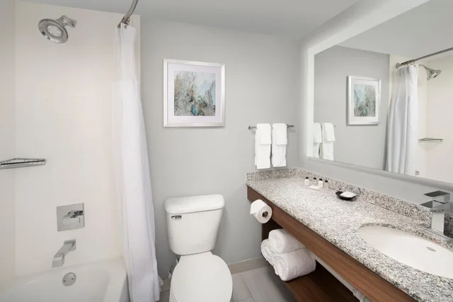 Premium, King Bed, Sofa, Crowne Plaza San Antonio Airport 2/2
