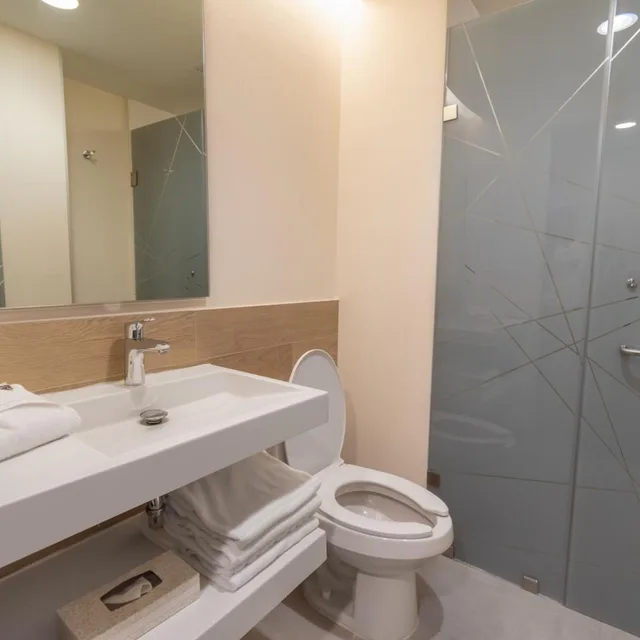 غرفة قياسية بسرير مزدوج، Hotel Highland Chihuahua 5/5