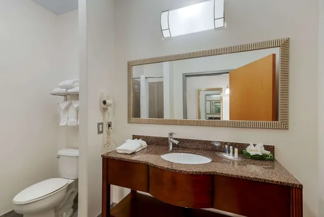 جناح بسرير كينج مع أريكة، Comfort Suites Stockbridge Atlanta South 5/6