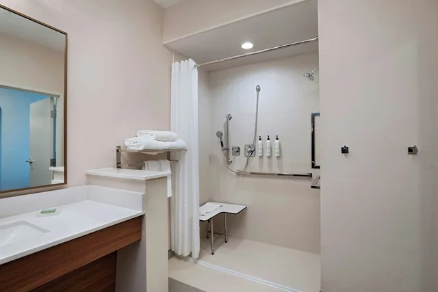 غرفة بسرير كينج بإطلالة على المدينة لذوي الإعاقة، Fairfield Inn & Suites Fort Worth Alliance Airport 5/5