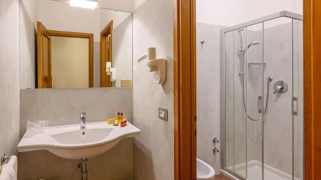 غرفة مفردة بسرير مزدوج، Albergo Reggio 8/10