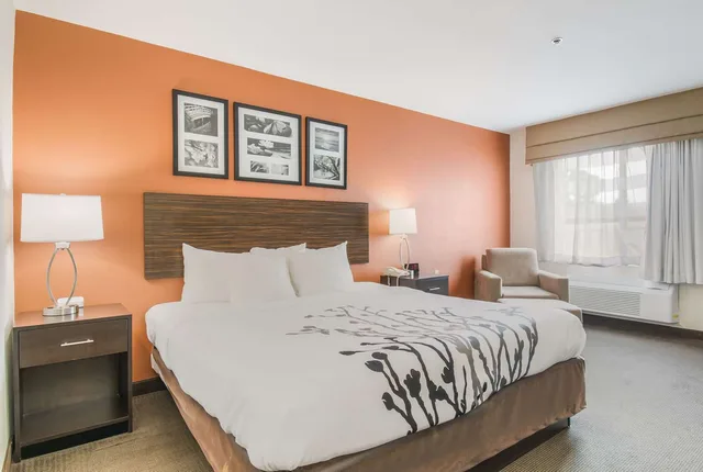 غرفة بسرير كينج، Sleep Inn & Suites Ronks - Lancaster Area 2/5