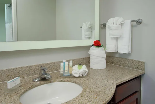 استوديو بسرير كينج، Homewood Suites By Hilton Ft Lauderdale Airport Cruise Port 1/2
