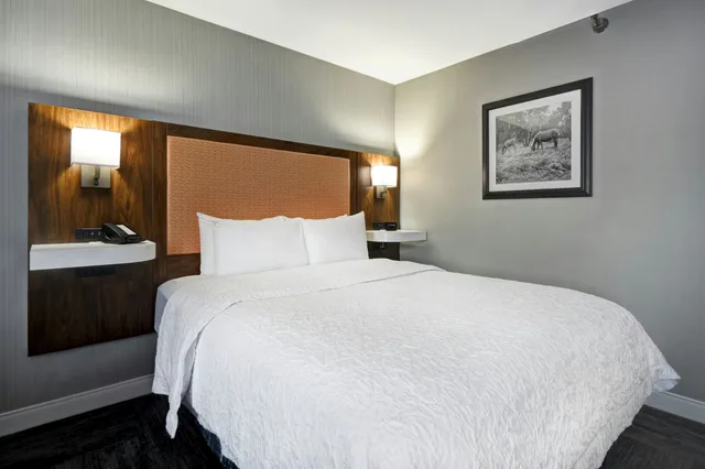 Standard, Queen Bed, Hampton Inn I-75 Lexington Hamburg Area 2/4