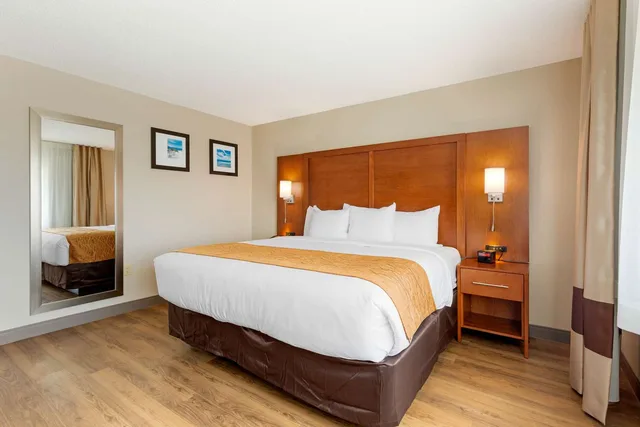 Suite, King and Queen Bed, Comfort Inn & Suites Milford DE 3/7