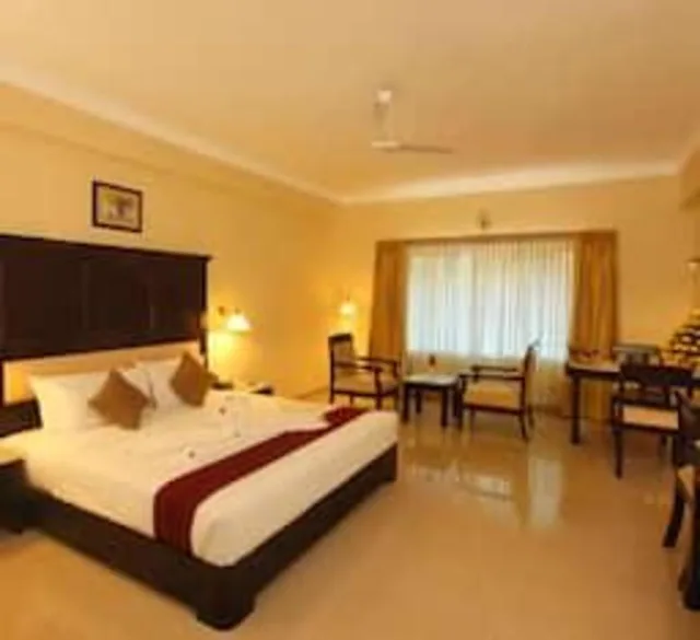 غرفة ديلوكس بسرير مزدوج، Hotel Airlink Castle 1/10