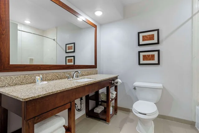 جناح بسرير كينج مع أريكة لذوي الإعاقة، Comfort Suites Houston NW - Vintage Park 4/7