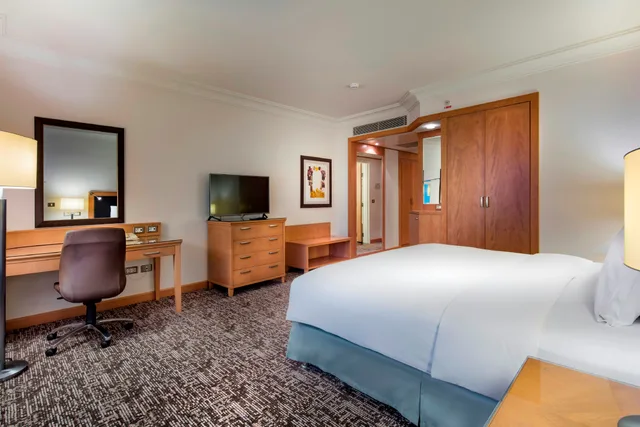 غرفة تنفيذية بسرير كينج بإطلالة على النهر، Adana HiltonSA 2/3